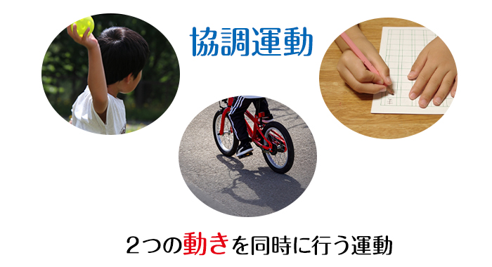 発達性協調運動症／DCDとは？【発達障害／発達の困り／DCD／不器用】